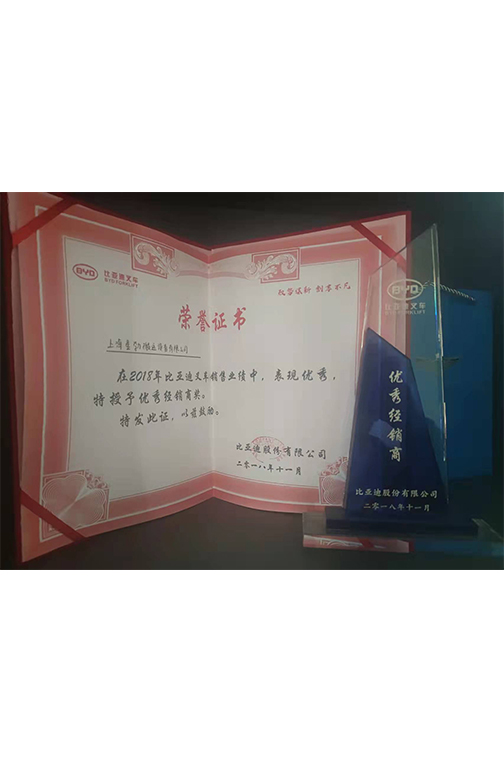 金华市比亚迪2018优秀经销商