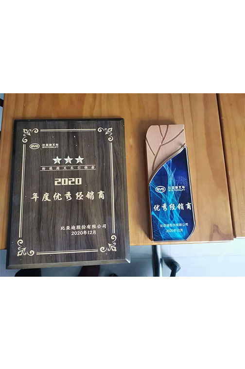 金华市比亚迪2020优秀经销商